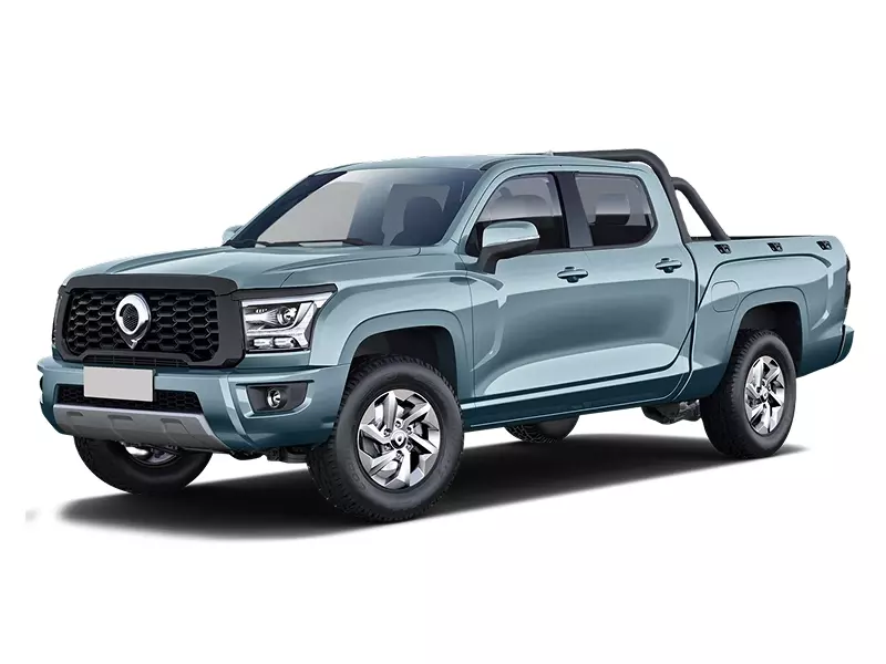 Great Wall Poer Kingkong