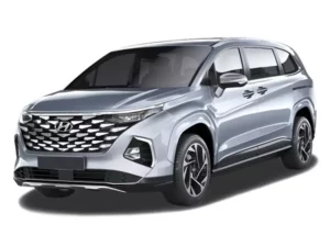 Hyundai Custin